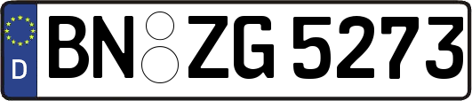 BN-ZG5273