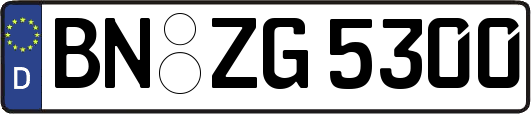 BN-ZG5300