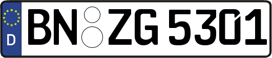 BN-ZG5301