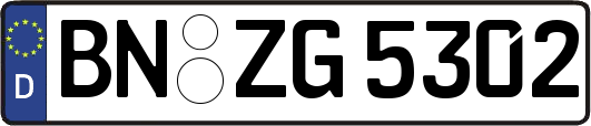 BN-ZG5302