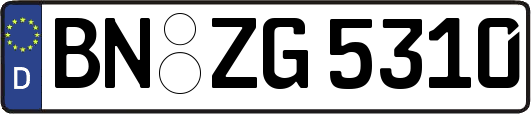 BN-ZG5310
