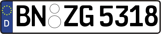 BN-ZG5318