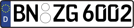BN-ZG6002