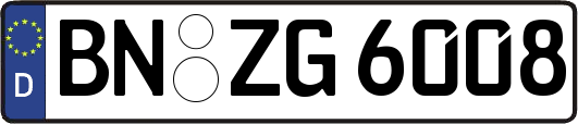 BN-ZG6008