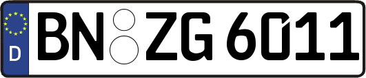 BN-ZG6011