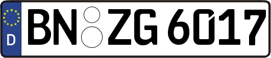 BN-ZG6017