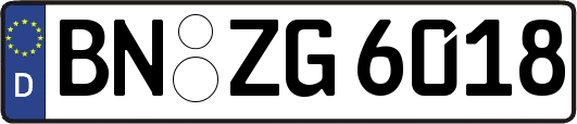 BN-ZG6018