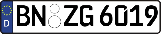 BN-ZG6019
