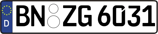 BN-ZG6031