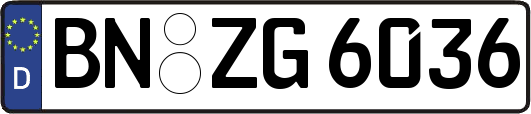BN-ZG6036