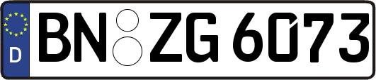 BN-ZG6073