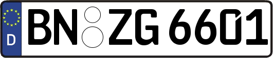 BN-ZG6601