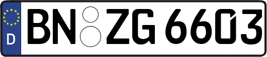 BN-ZG6603