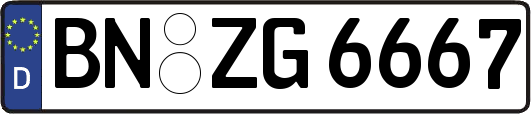 BN-ZG6667