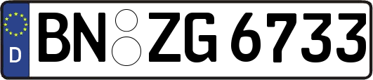 BN-ZG6733