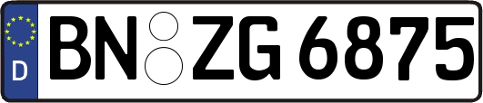 BN-ZG6875