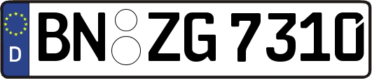 BN-ZG7310