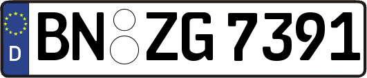 BN-ZG7391