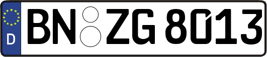 BN-ZG8013