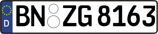 BN-ZG8163