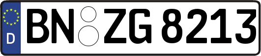 BN-ZG8213