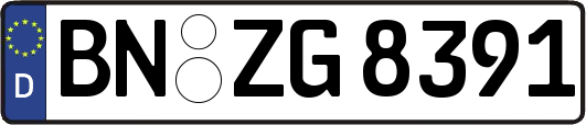 BN-ZG8391