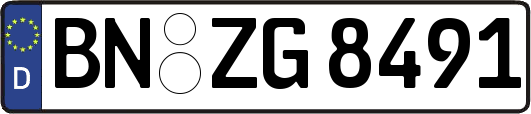 BN-ZG8491