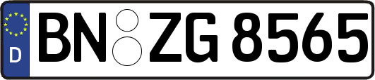 BN-ZG8565
