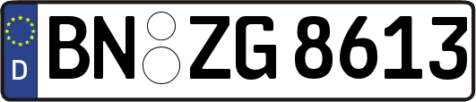 BN-ZG8613