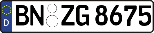 BN-ZG8675