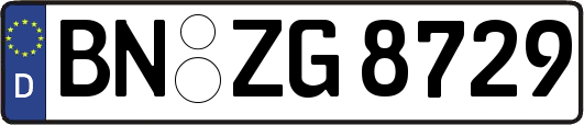 BN-ZG8729