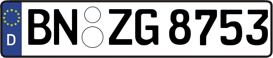 BN-ZG8753