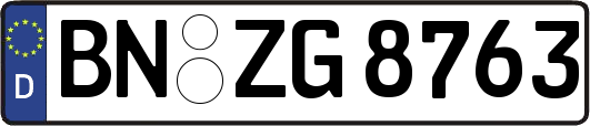 BN-ZG8763