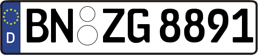 BN-ZG8891