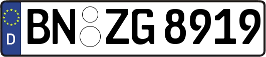 BN-ZG8919