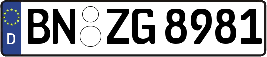 BN-ZG8981