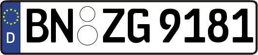 BN-ZG9181