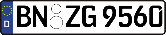 BN-ZG9560