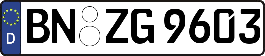 BN-ZG9603