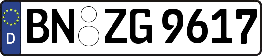 BN-ZG9617