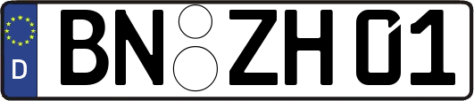 BN-ZH01