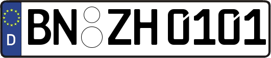 BN-ZH0101