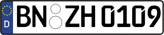 BN-ZH0109