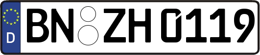 BN-ZH0119