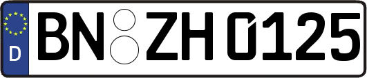 BN-ZH0125