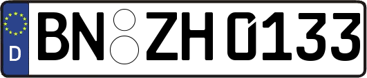 BN-ZH0133