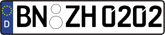 BN-ZH0202