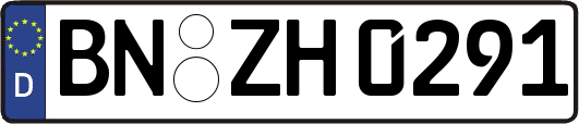 BN-ZH0291
