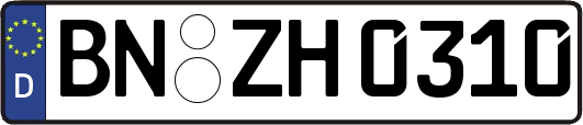 BN-ZH0310
