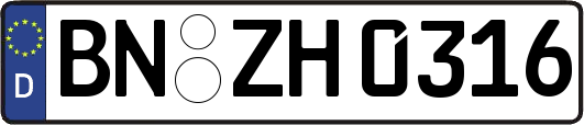 BN-ZH0316